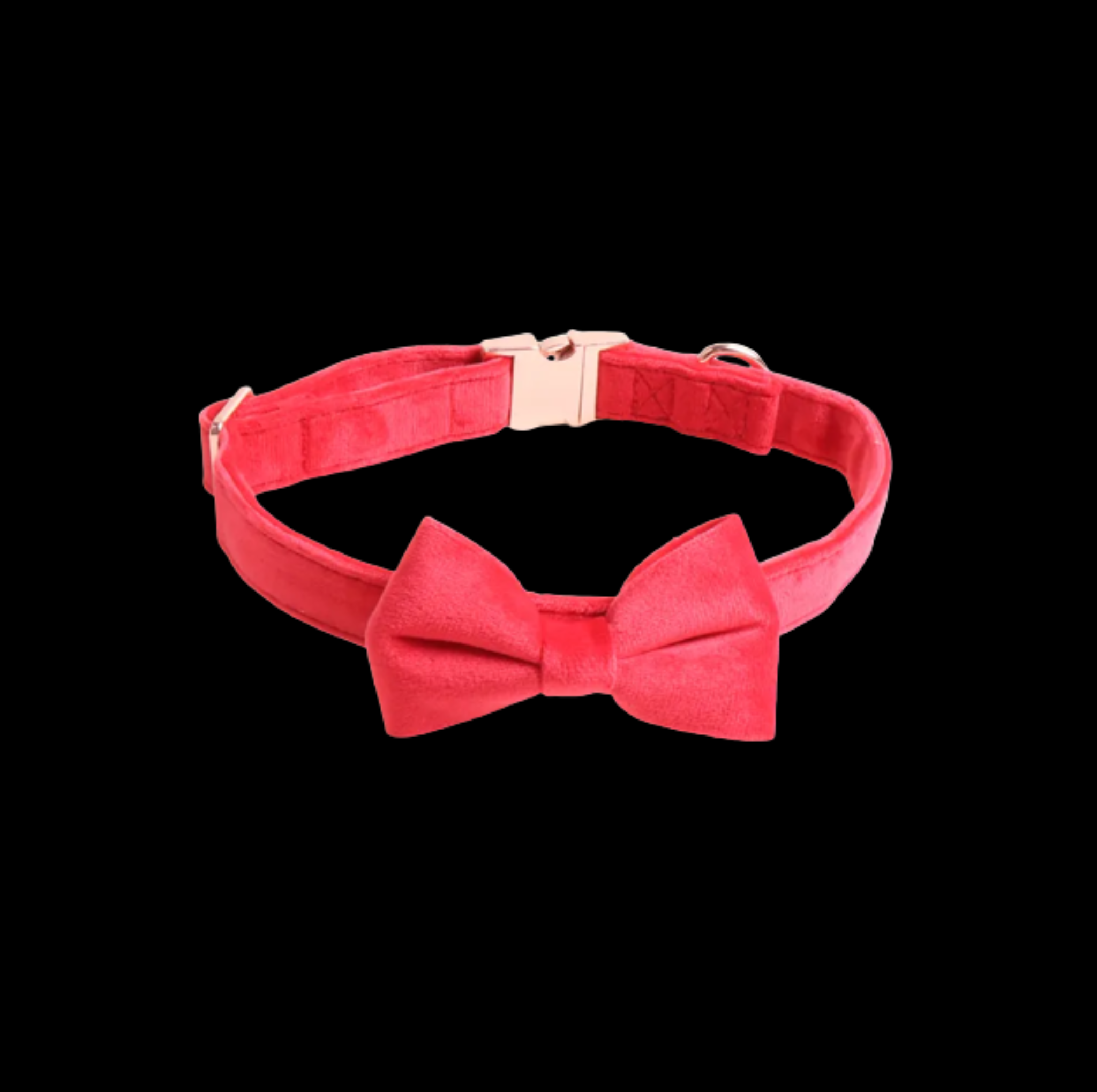 Red Collar with Black Background ::Red