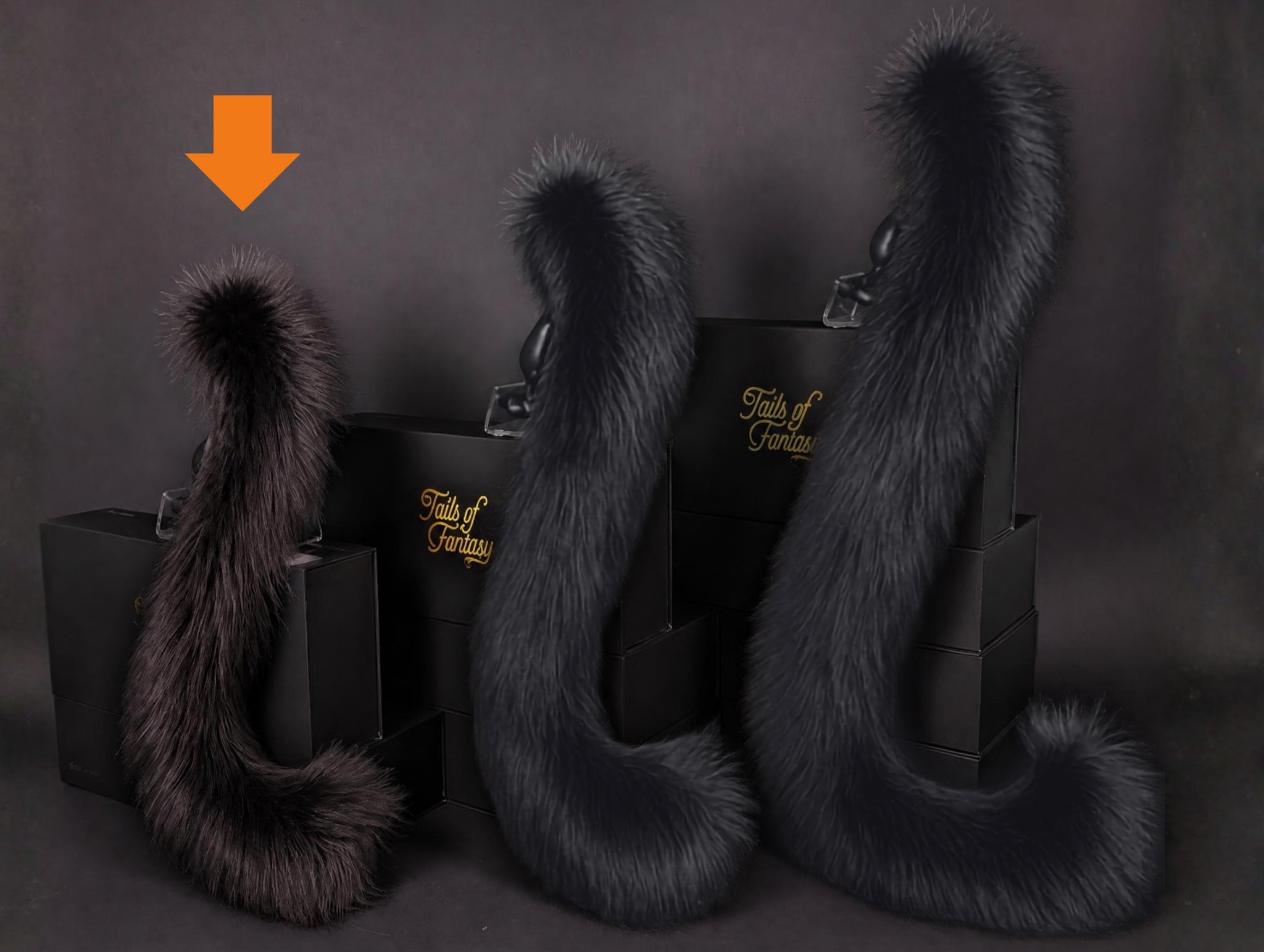 Tails of Fantasy Black Cat Tail body-safe silicone butt plug featuring a unique upright support design - (small plug) studio display of the Black Cat Tail.