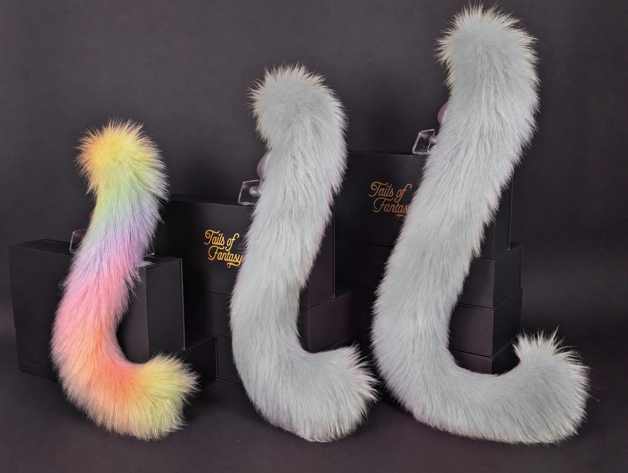 Tails of Fantasy Rainbow Cat Tail body-safe silicone butt plug featuring a unique upright support design - (small plug) studio display of the Rainbow Cat Tail.