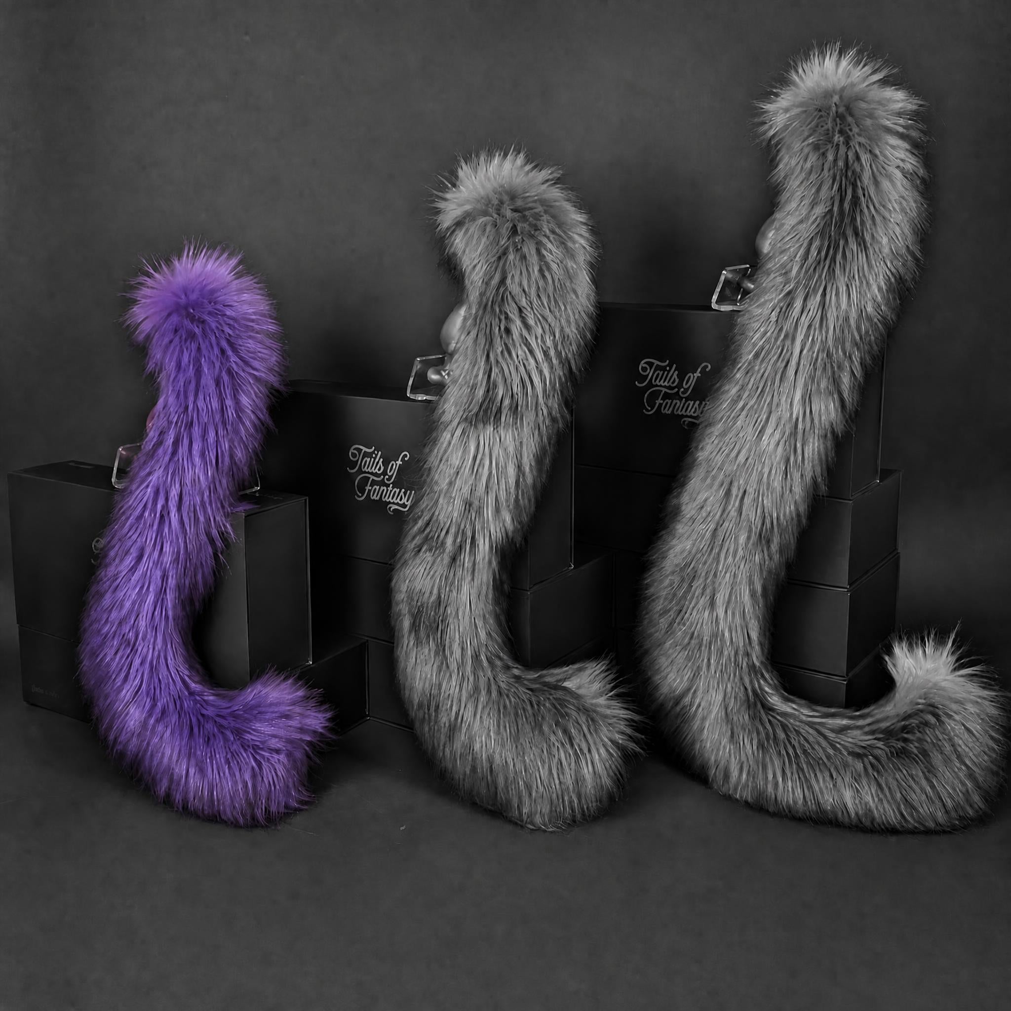Twilight Cat Tail