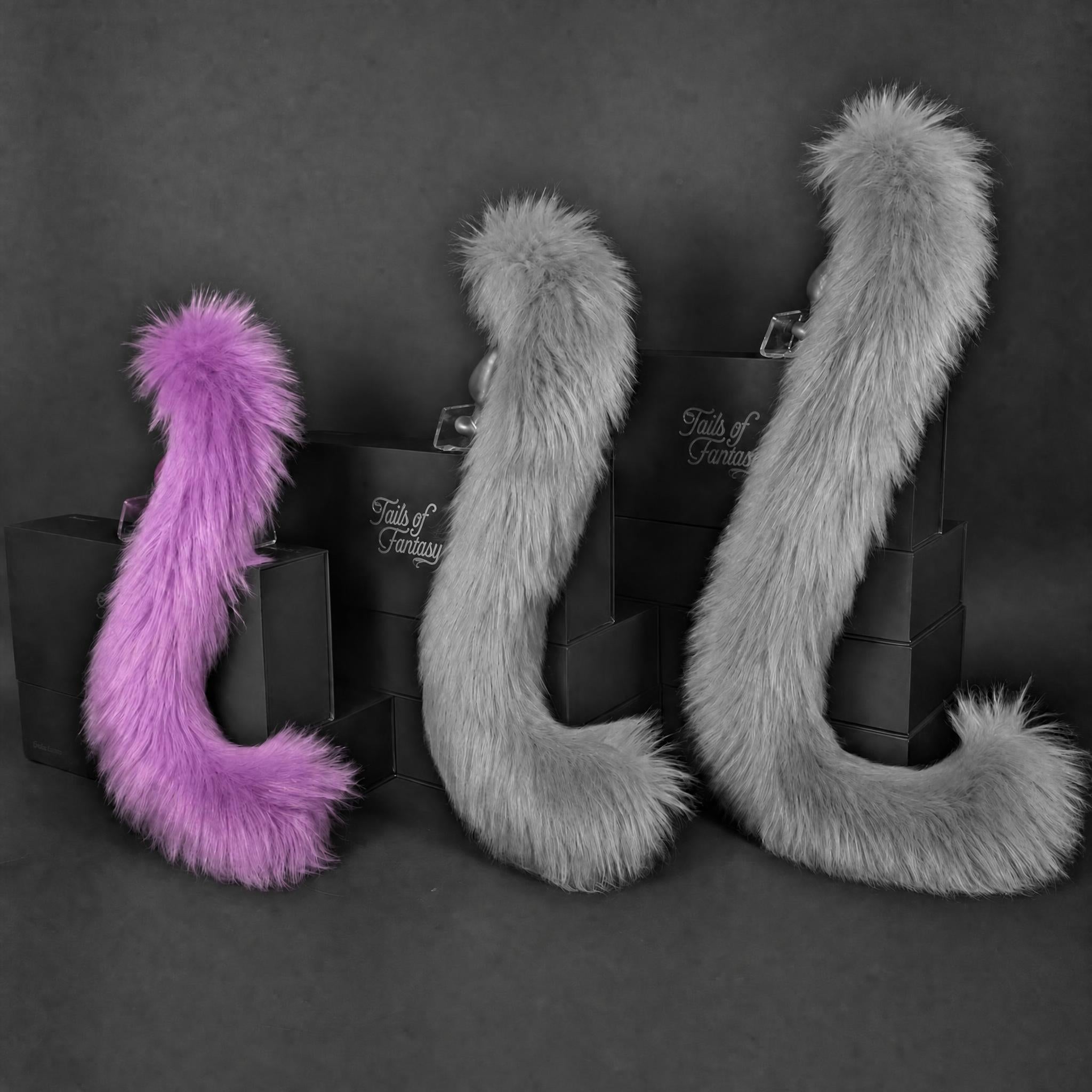 Violet Cat Tail - Long Hair