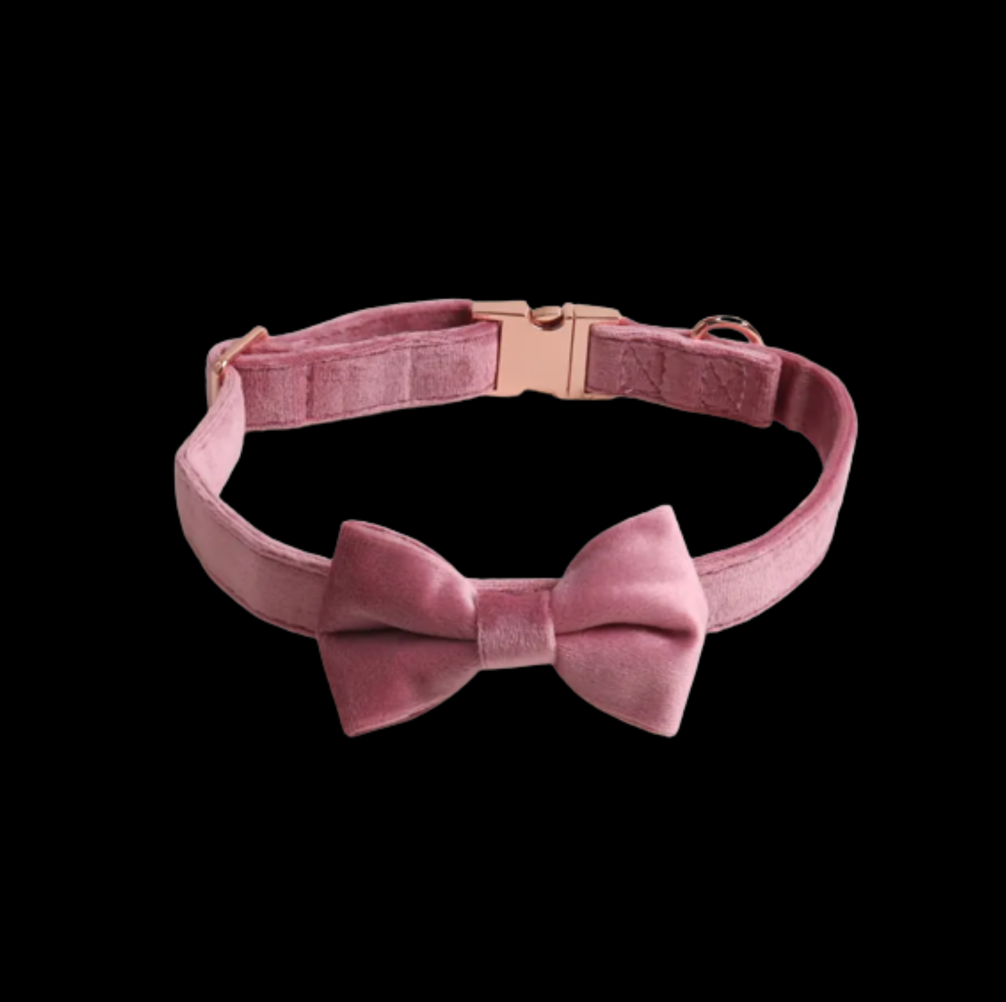 Pink Collar w black background::Pink