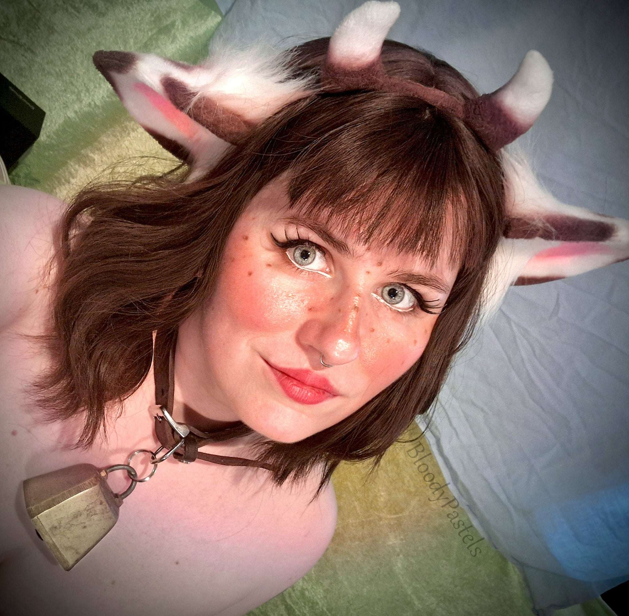 Brown Cow Ears