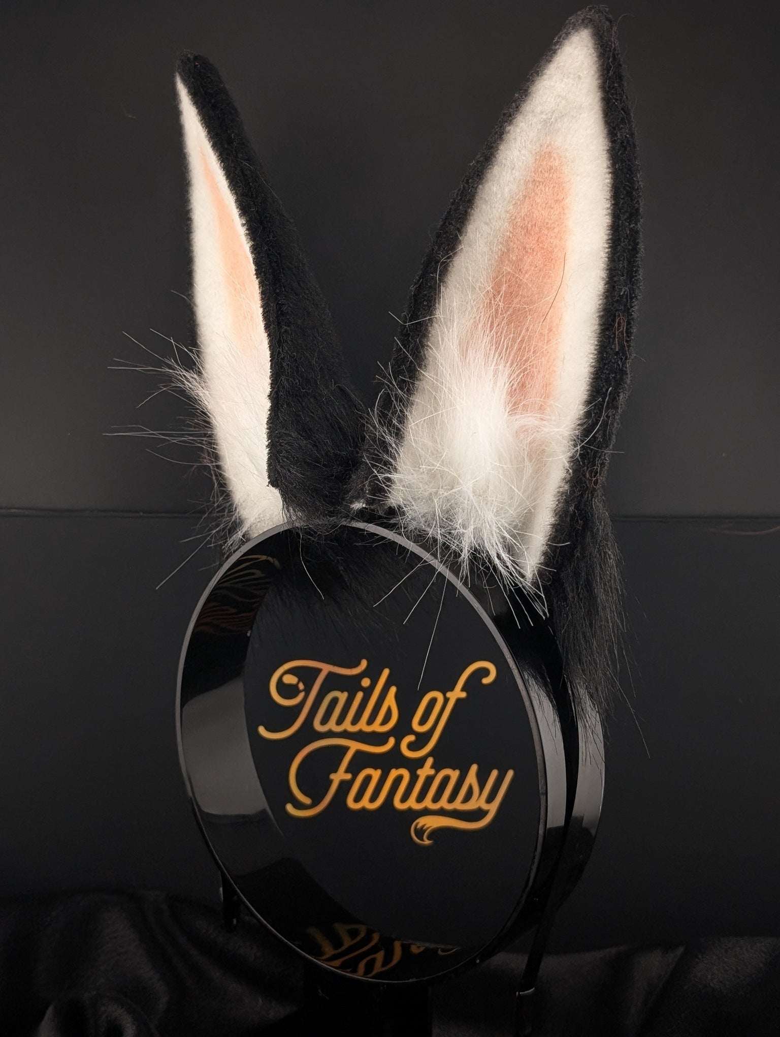Black Bunny Rabbit Ears- Upright