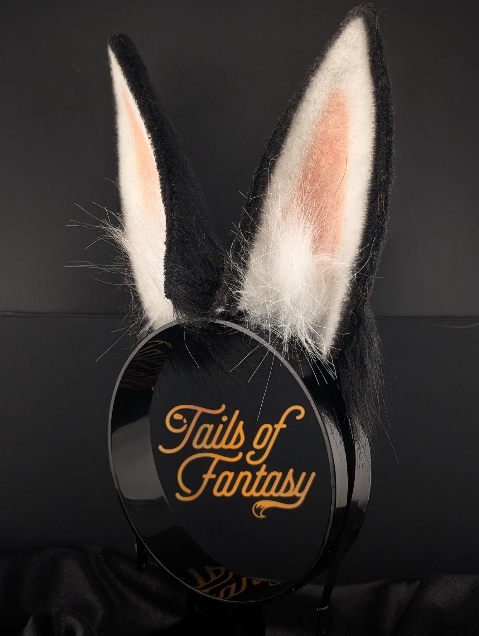 Black Bunny Rabbit Ears- Upright