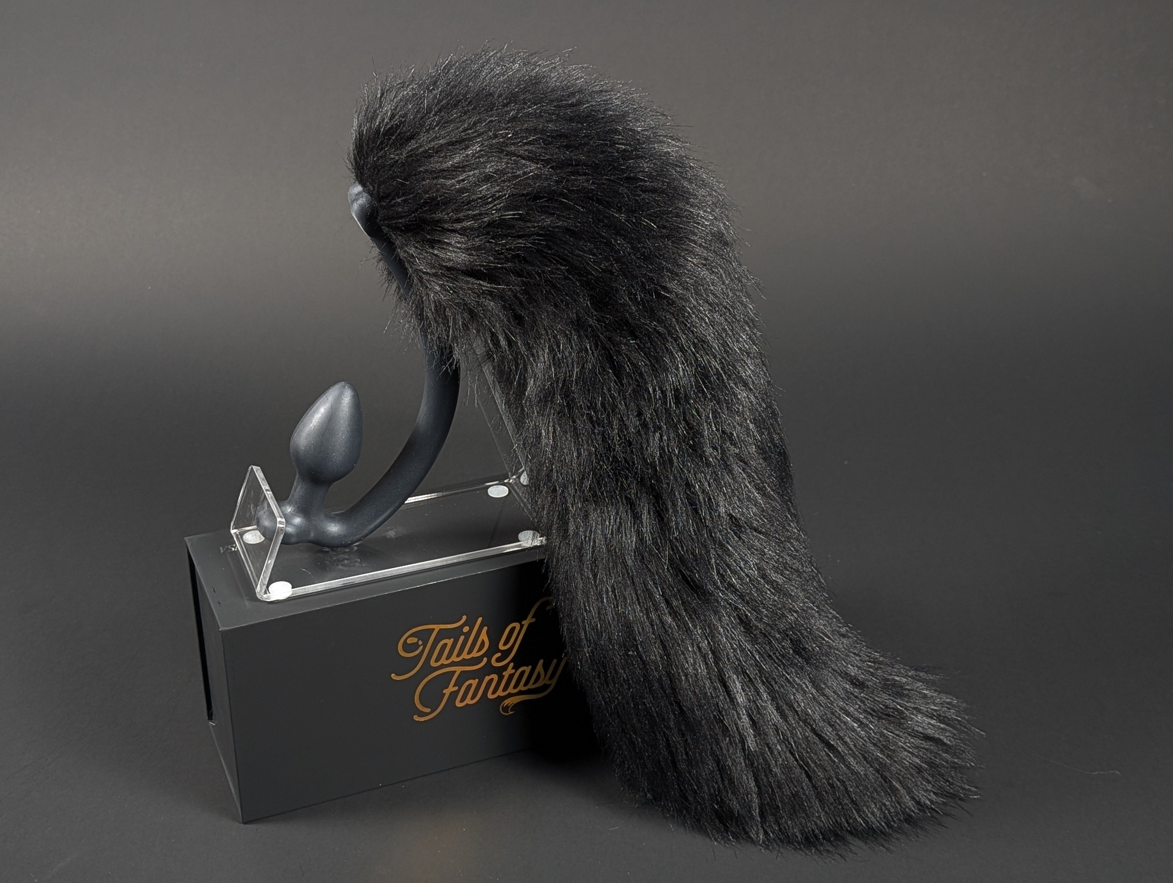 Black Retriever Tail