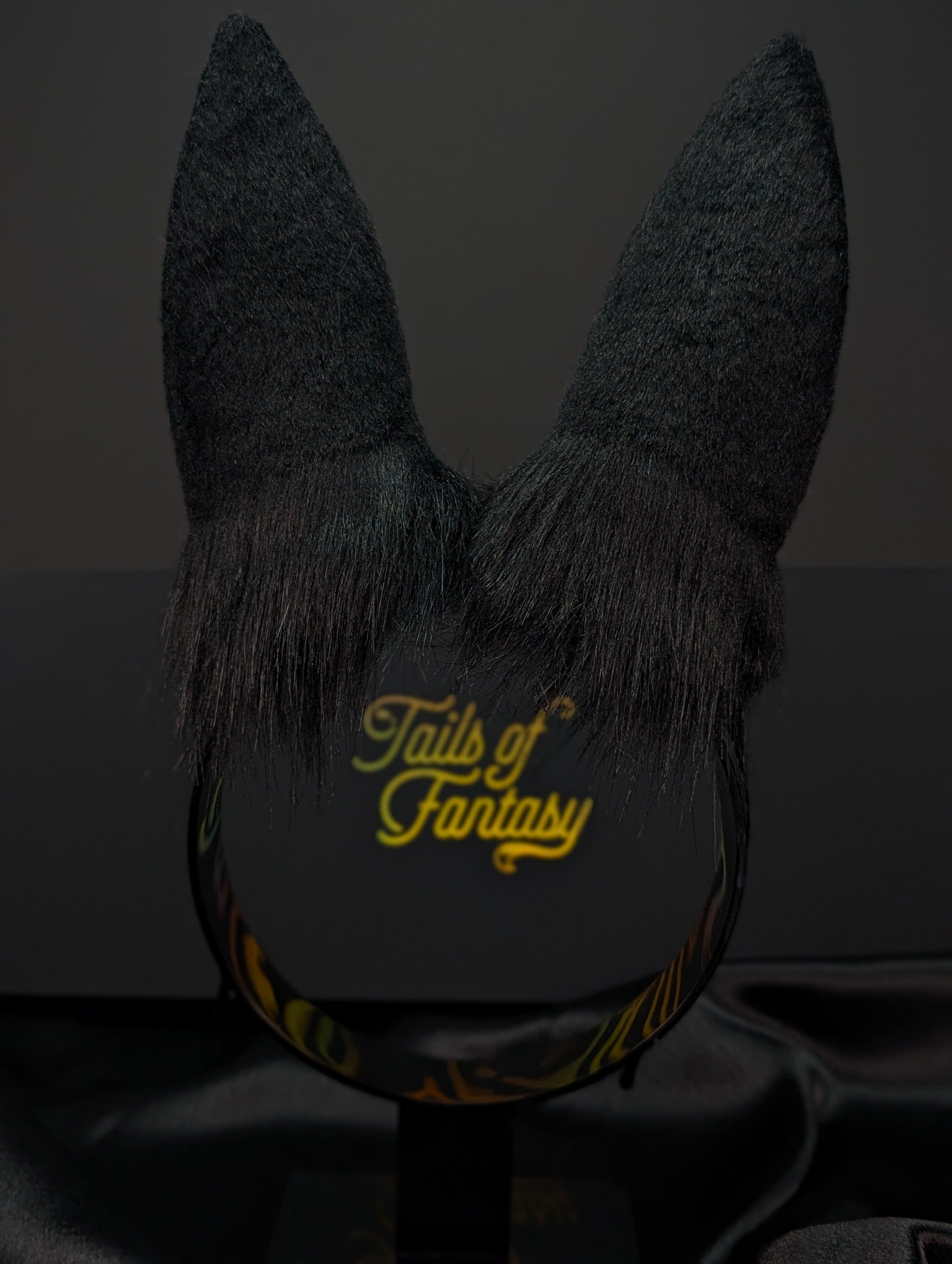 Black Bunny Rabbit Ears- Upright