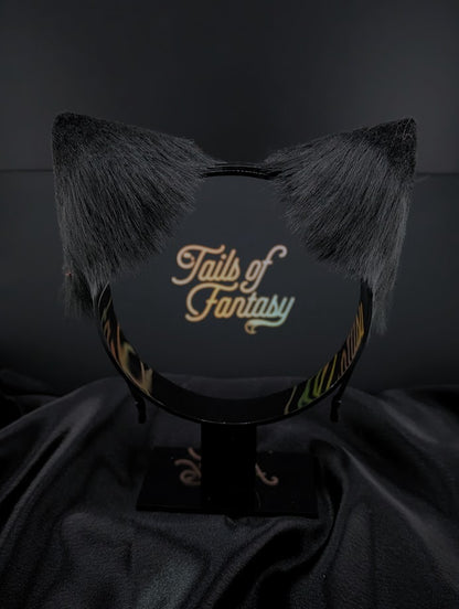 Black Cat Ears