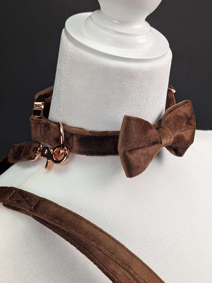 velvet-collar fantasy accessory