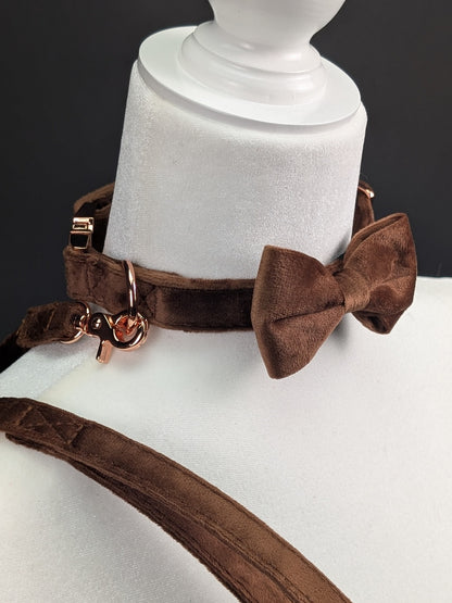 Velvet Collar