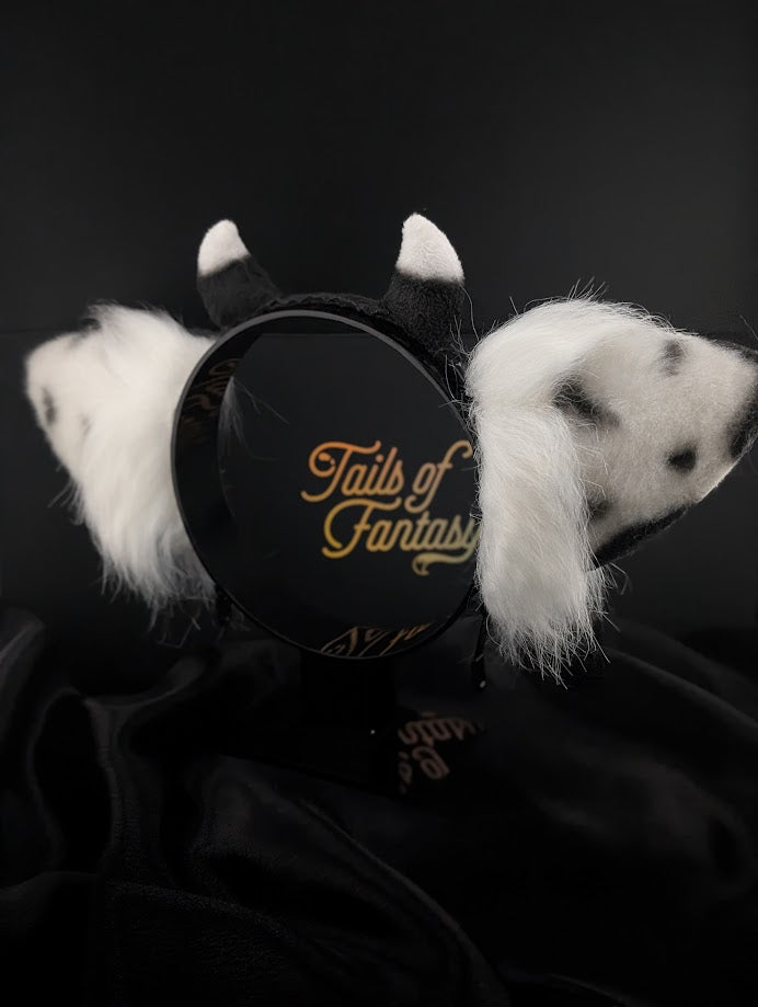 Black Cow Ears