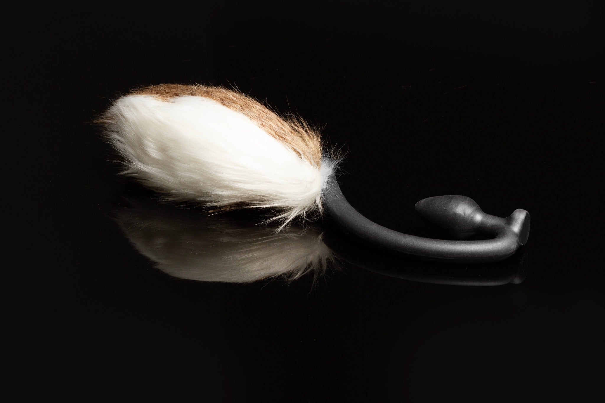 Deer Tail of Fantasy laying sideways facing away