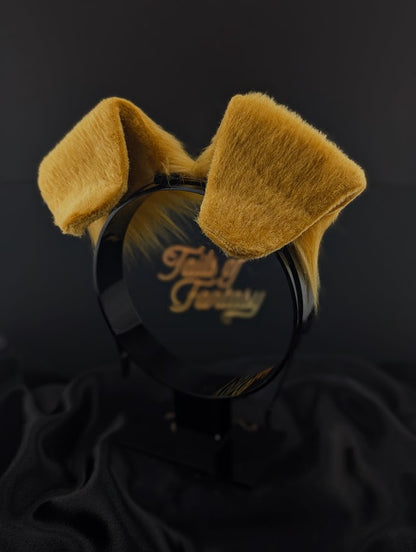 Golden Retriever Ears
