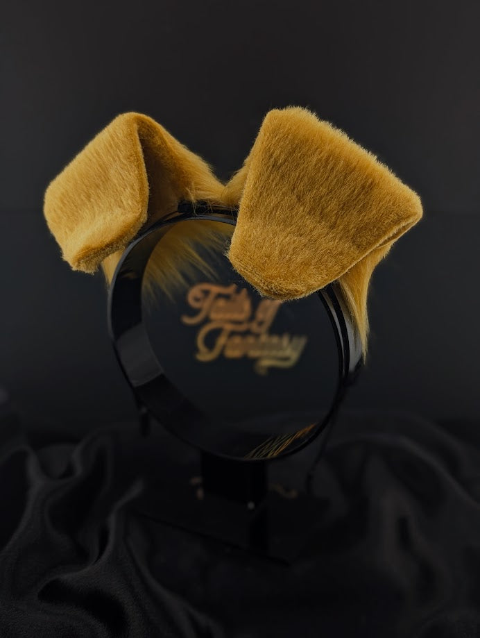 Golden Retriever Ears