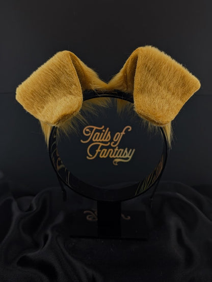 Golden Retriever Ears