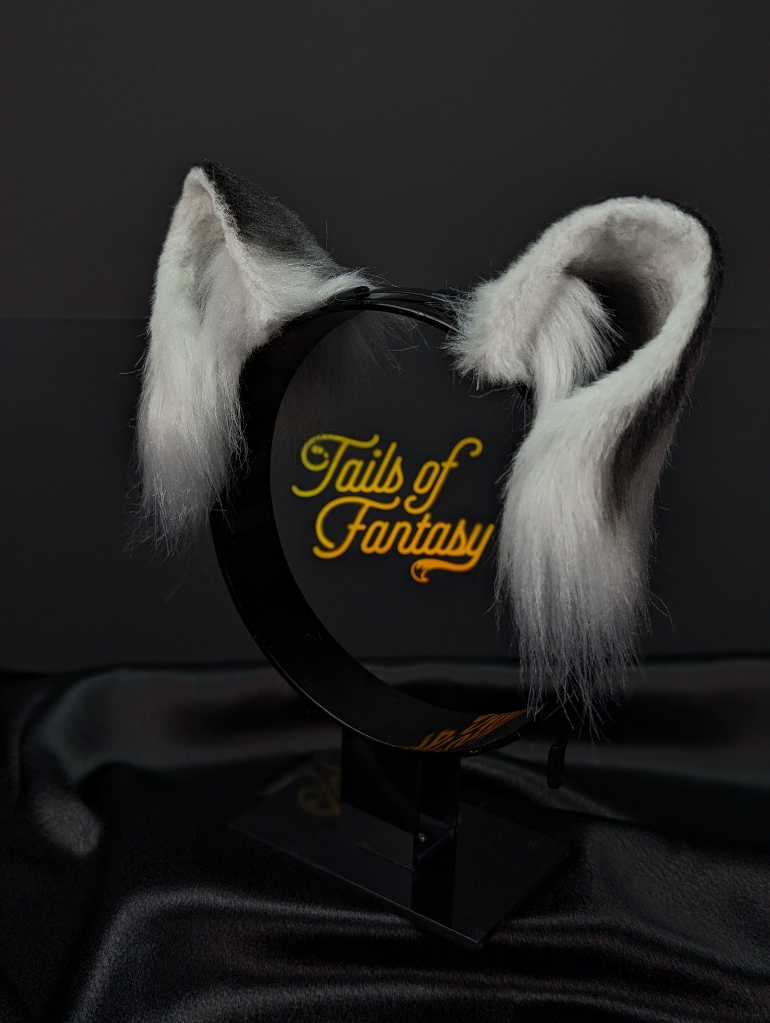 Gray Raccoon Ears