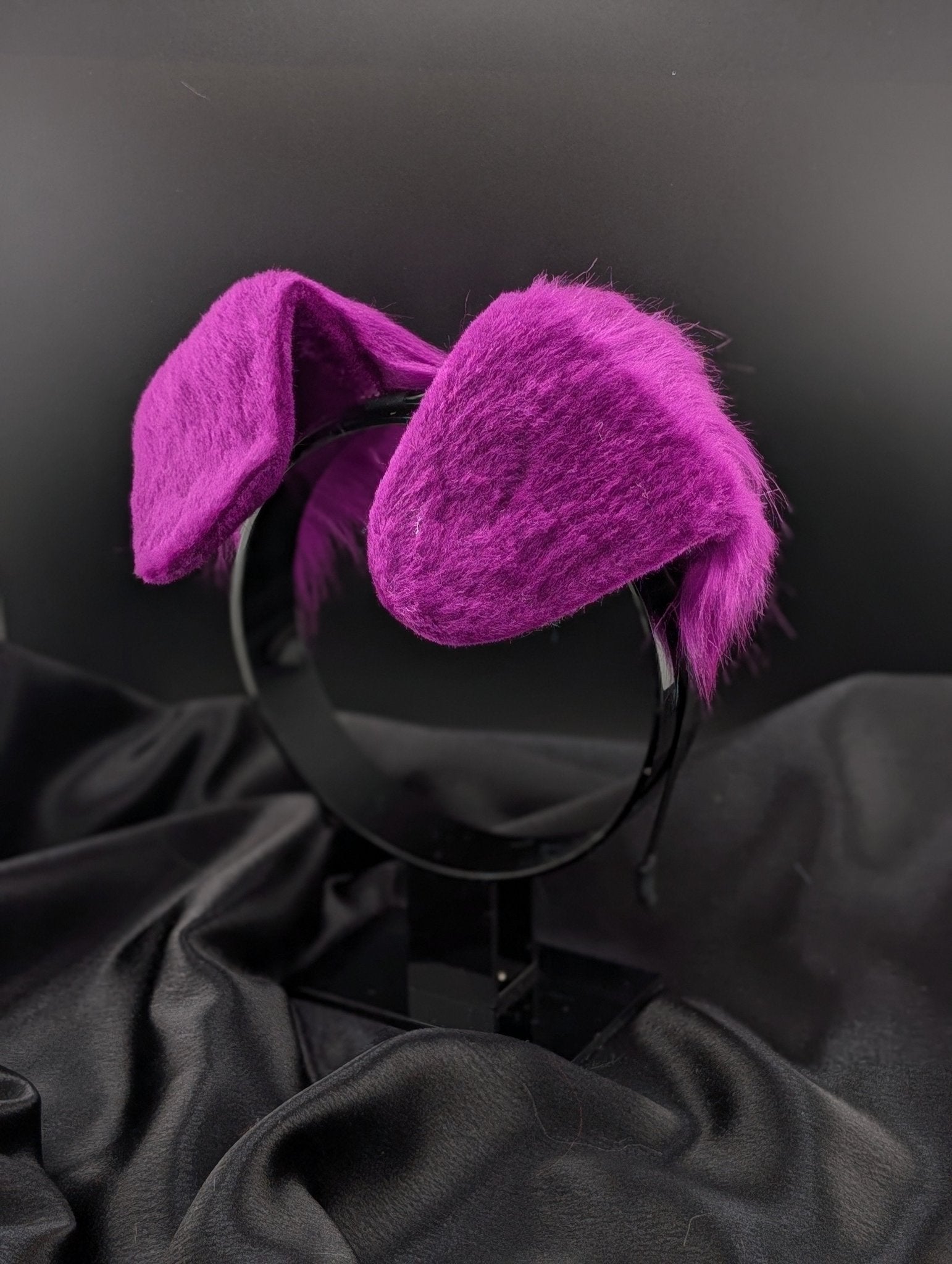 Purple Dog Ears 