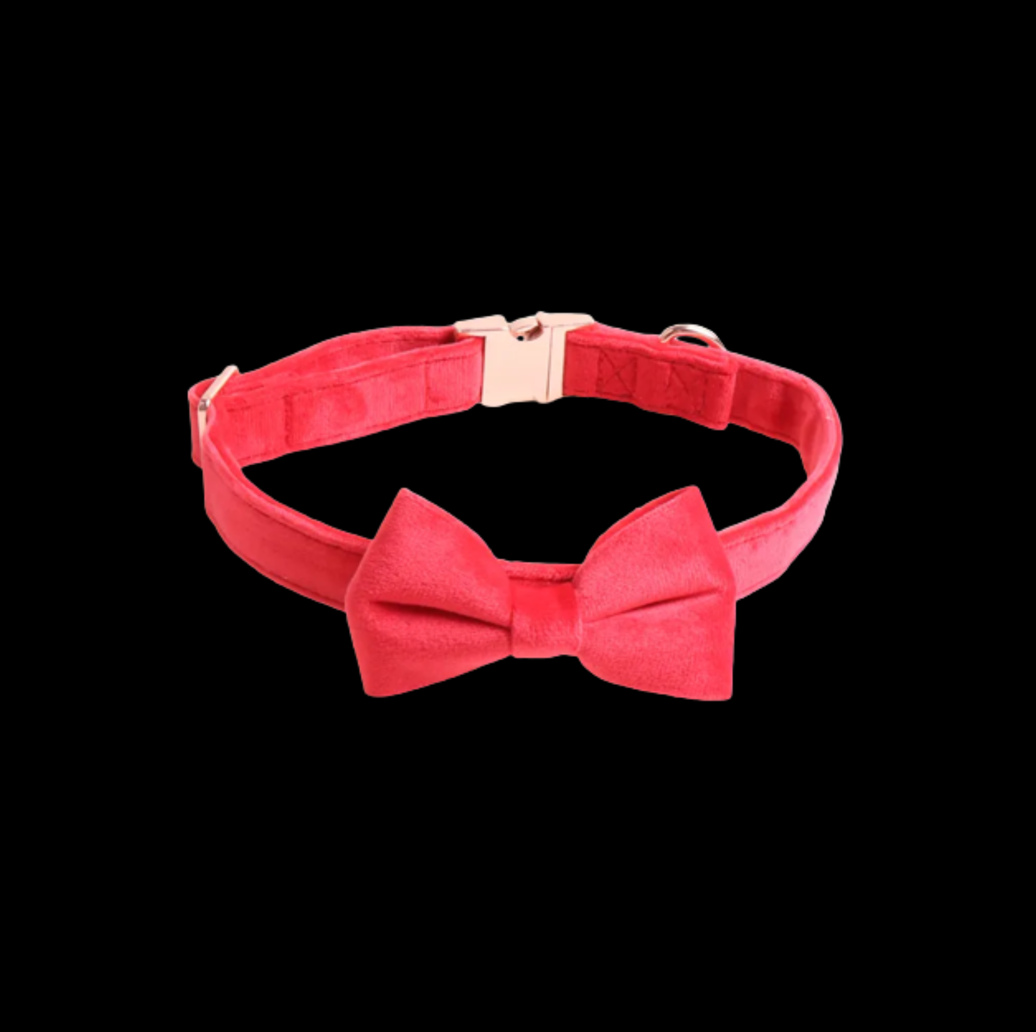 Red Collar with Black Background 