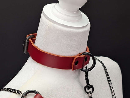 Latigo Leather Collars - 1 inch