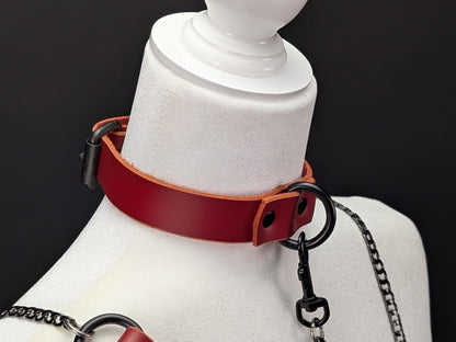 Latigo Leather Collars - 1 inch
