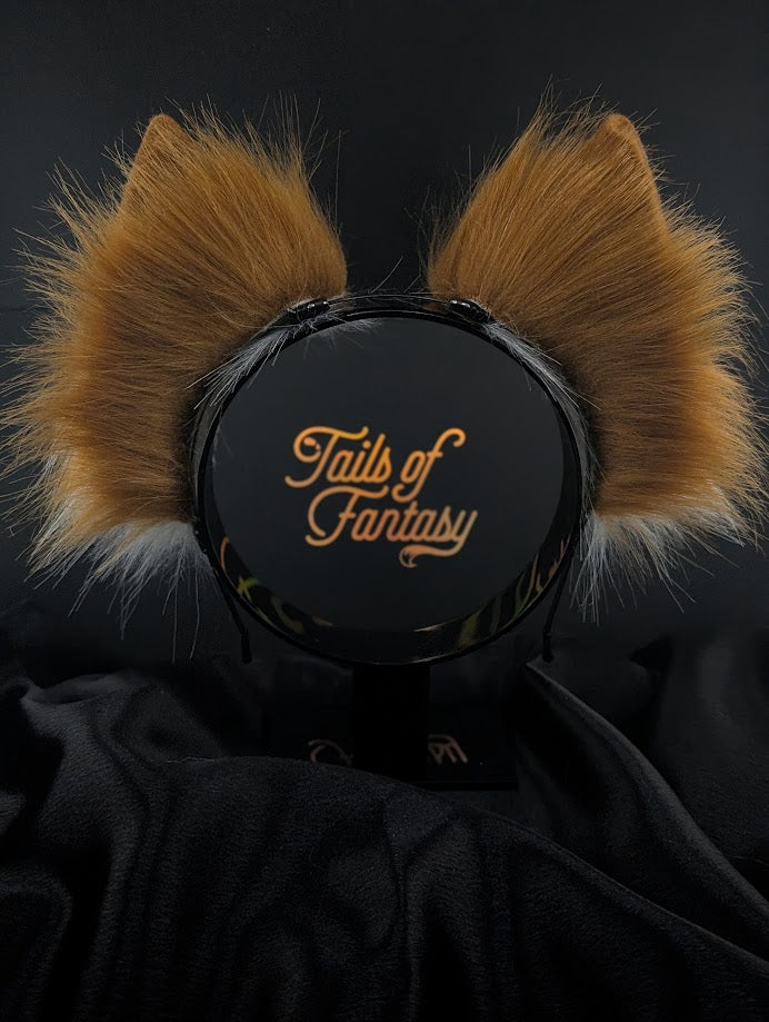 Red Fox Ears