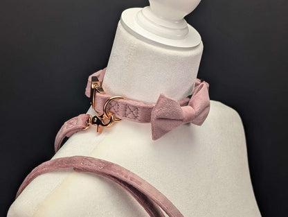 velvet-collar fantasy accessory