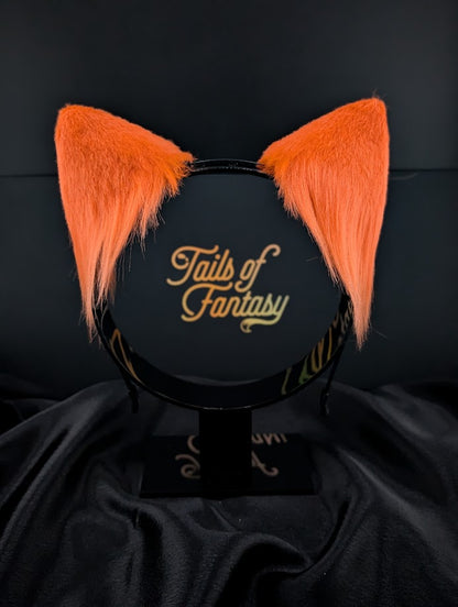 Tangerine Cat Ears