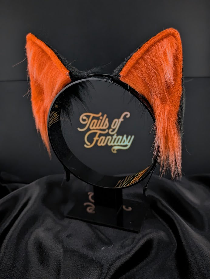 Tangerine fox ears::Tangerine
