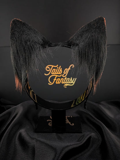 Tangerine Fox Ears