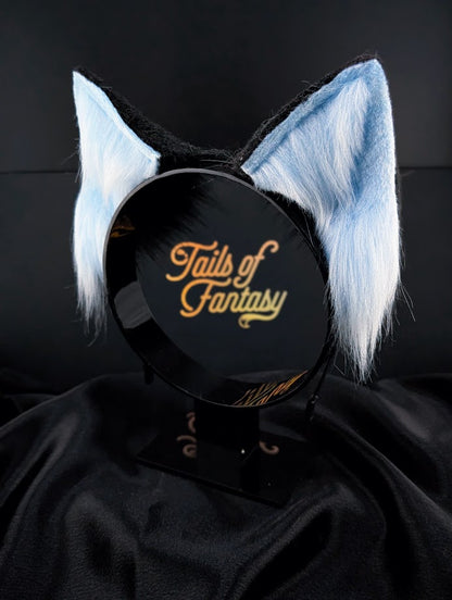 Tidal Fox Ears
