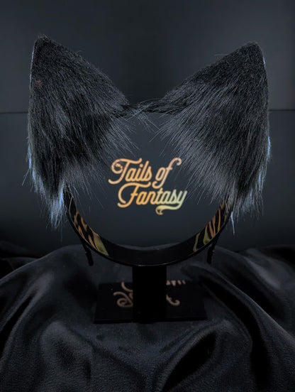 Tidal Fox Ears