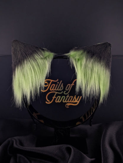 Toxic Cat Ears