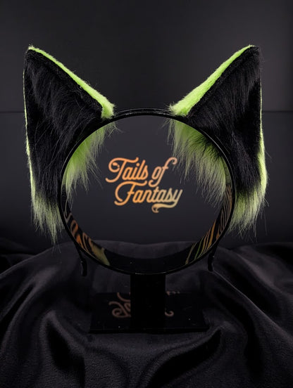 Toxic Fox Ears