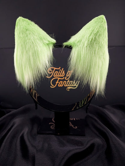 Toxic Fox Ears