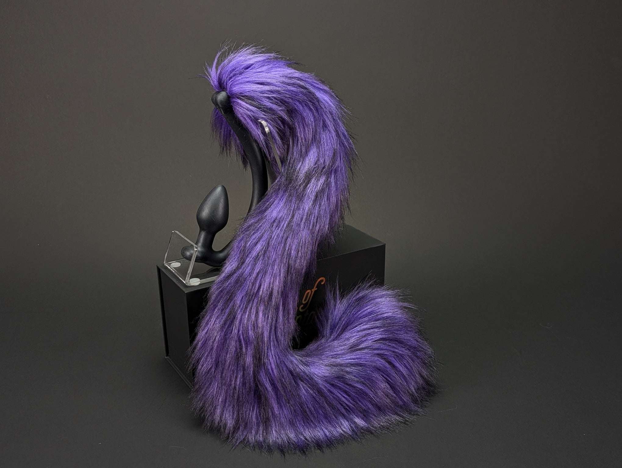 Twilight Cat Tail