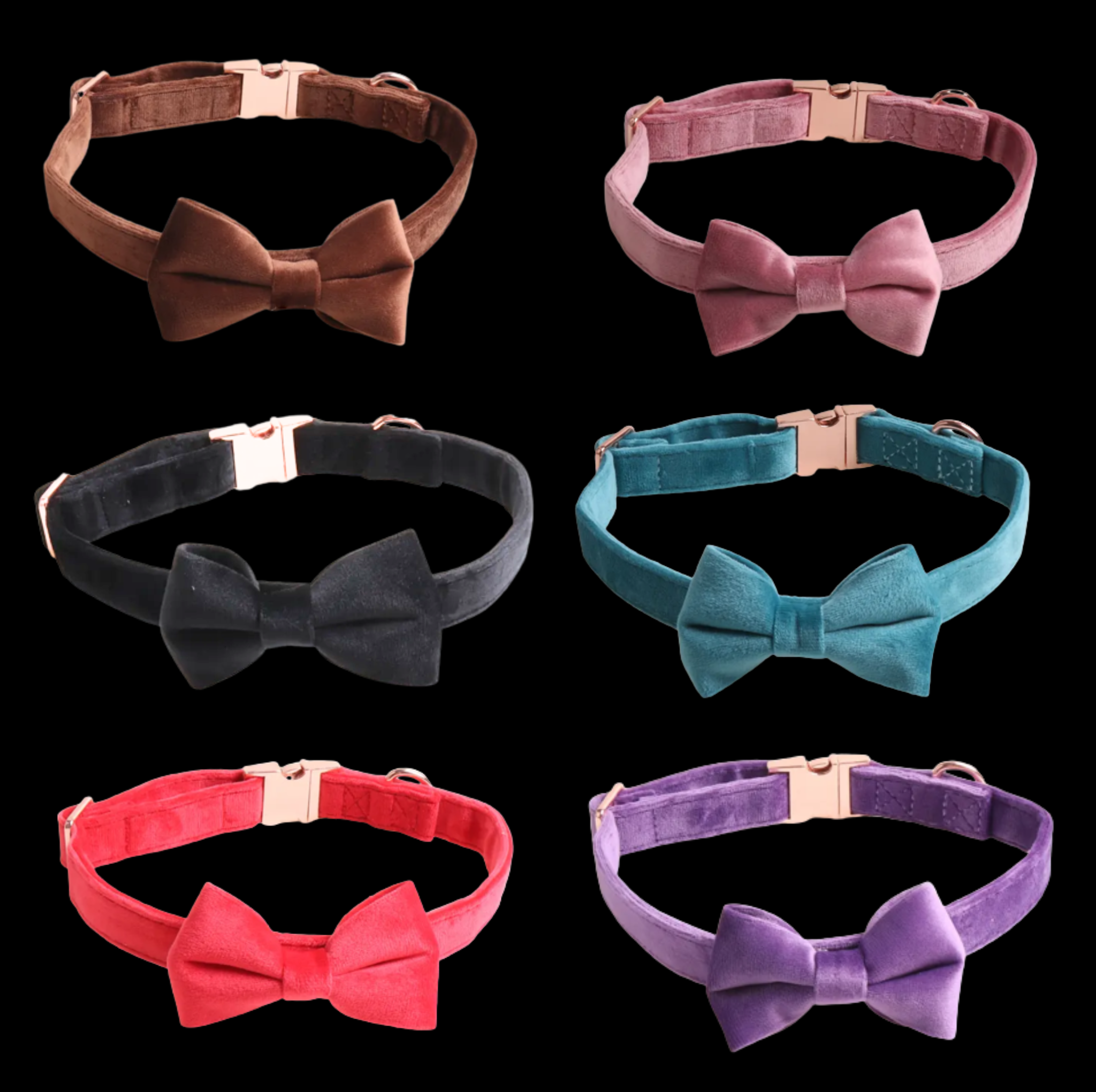 Brown, pink, black, blue, red, and purple velvet collar