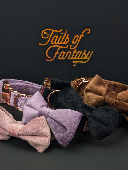 velvet-collar fantasy accessory