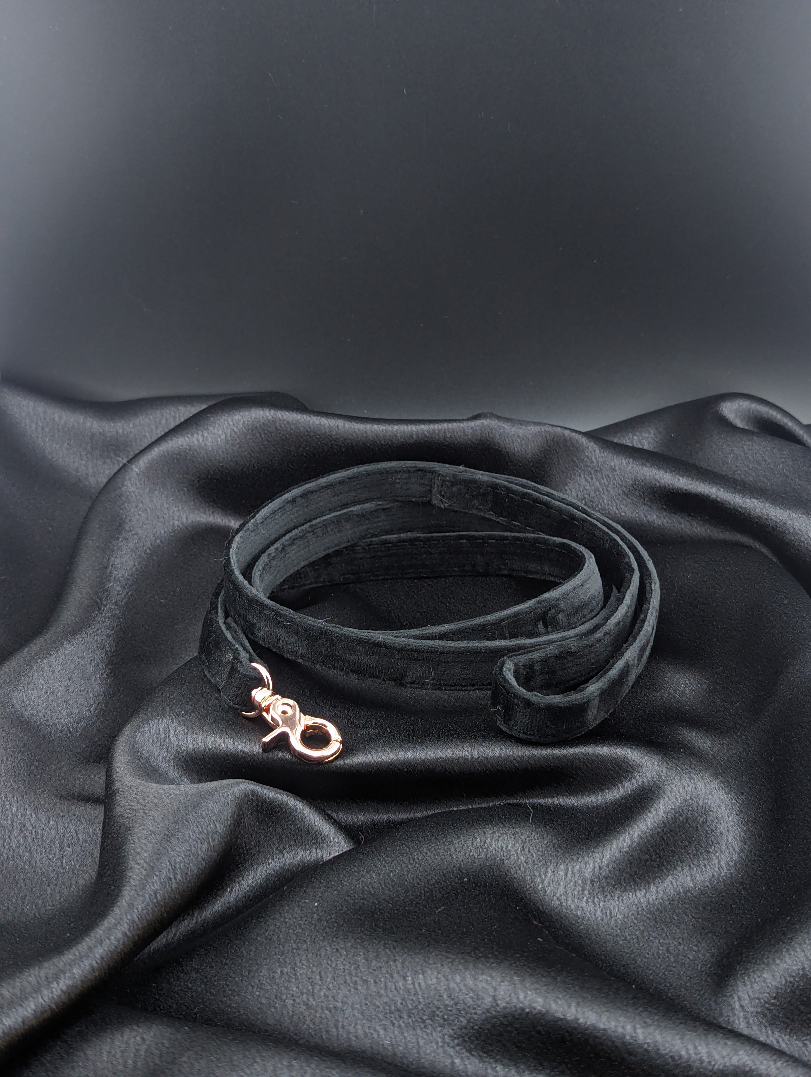 Black Velvet Leash 