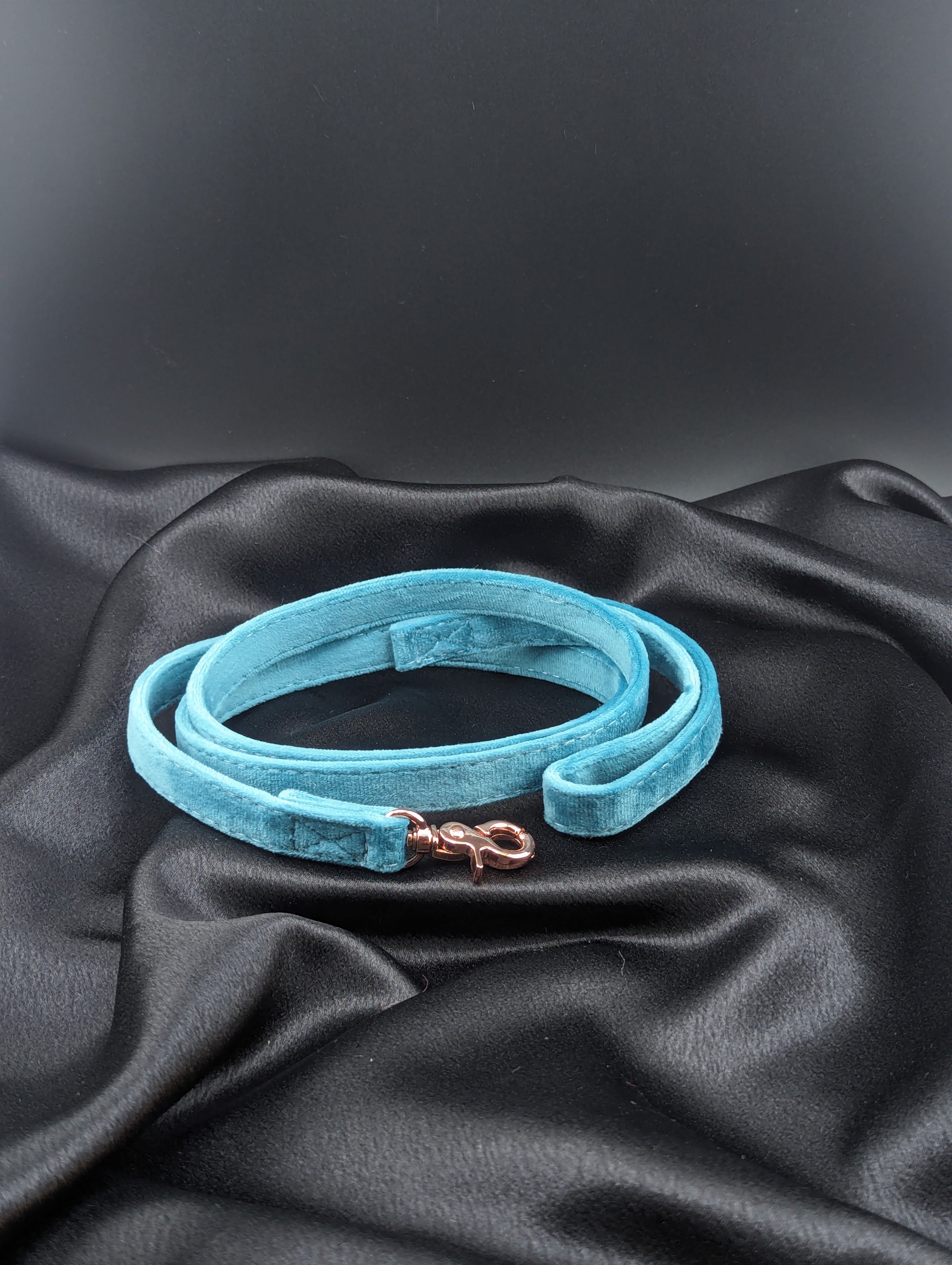 Blue Velvet Leash 