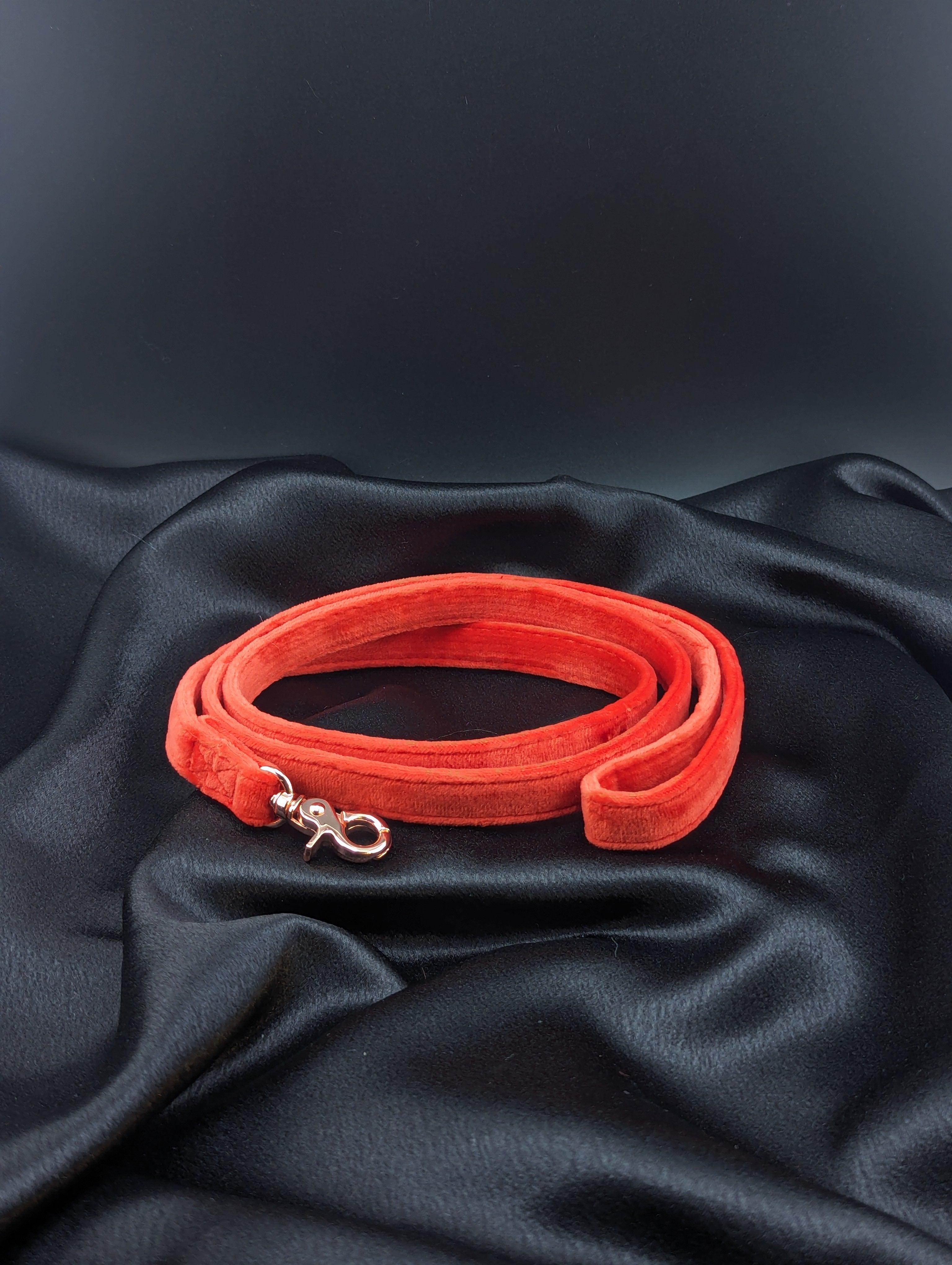 Red Velvet Leash 