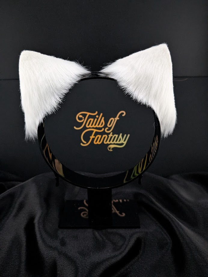 White Cat Ears