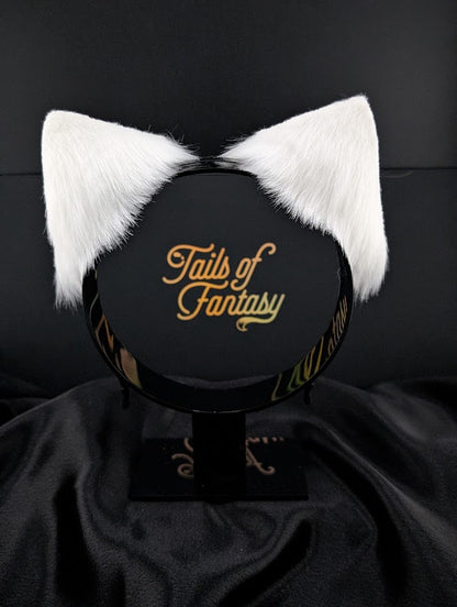 White Cat Ears