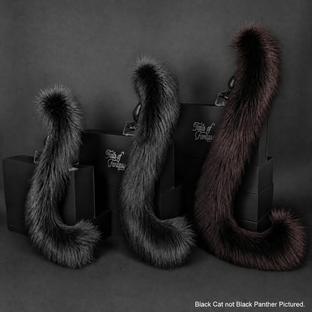 Black Cat Tail