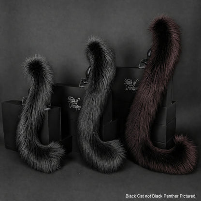 Black Cat Tail