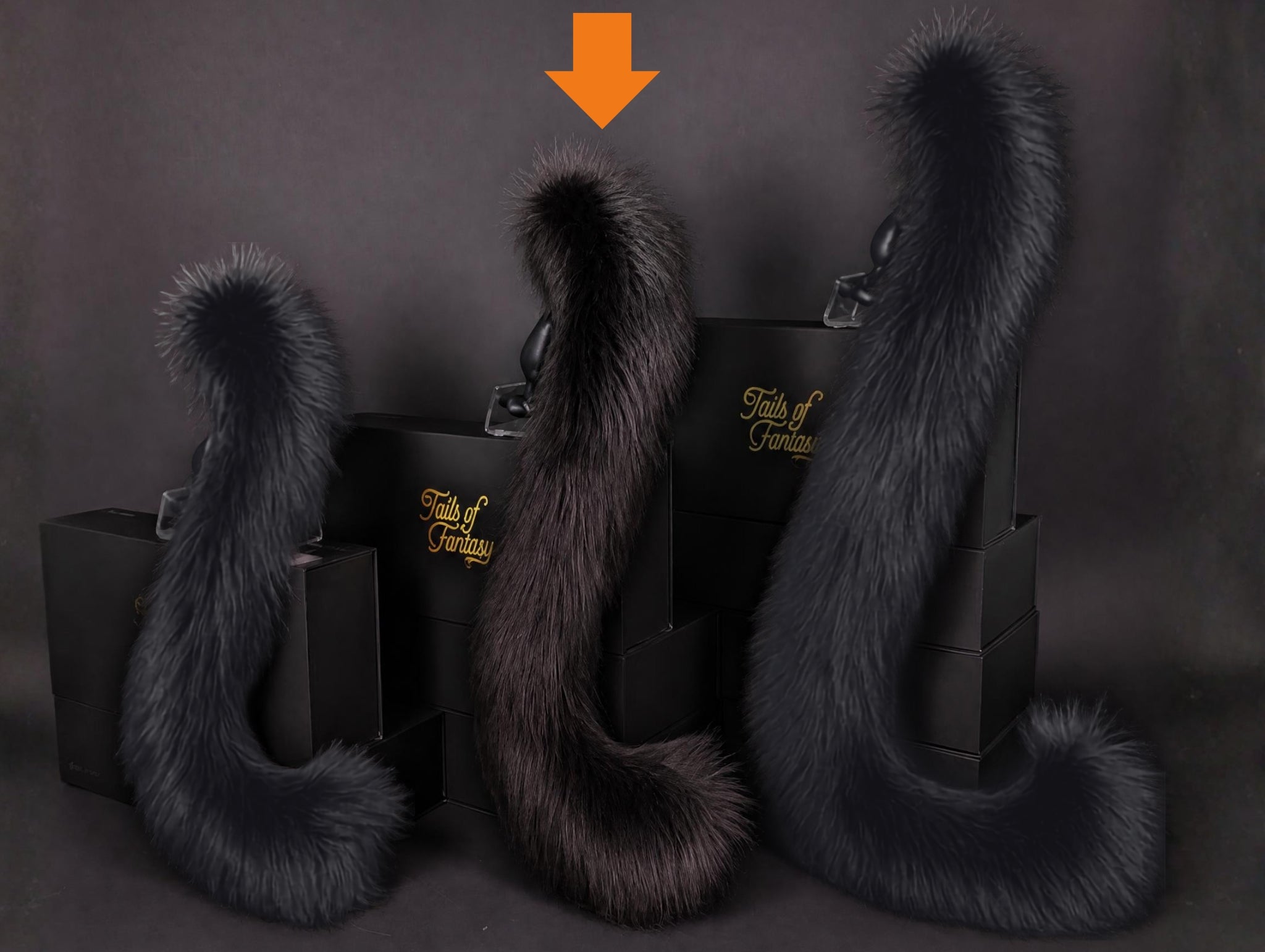 Tails of Fantasy Black Cat Tail body-safe silicone butt plug featuring a unique upright support design - (medium plug) studio display of the Black Cat Tail.