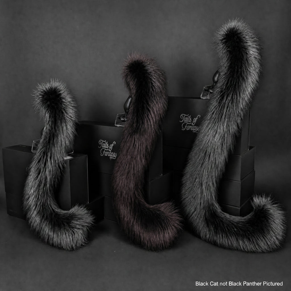Black Cat Tail