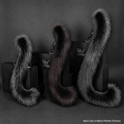 Black Cat Tail