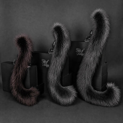 Black Cat Tail