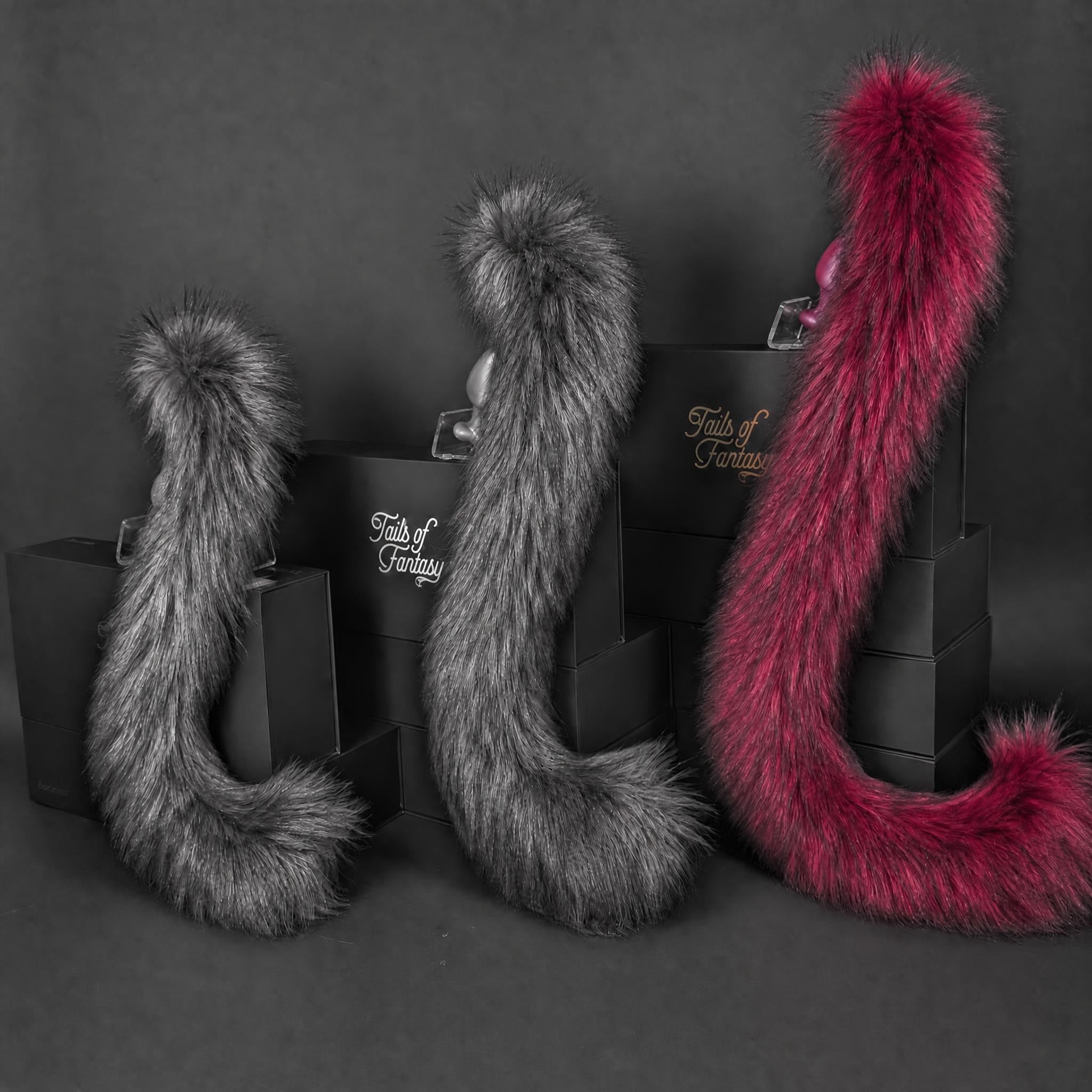 Dark Fuchsia Cat Tail