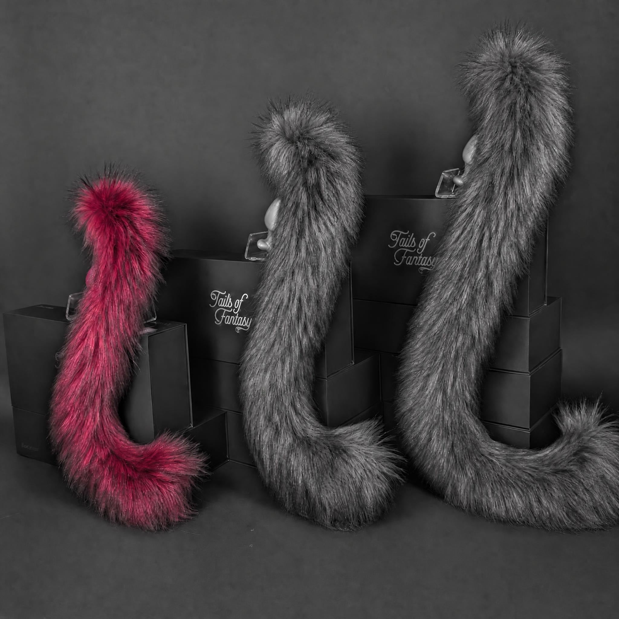 Dark Fuchsia Cat Tail